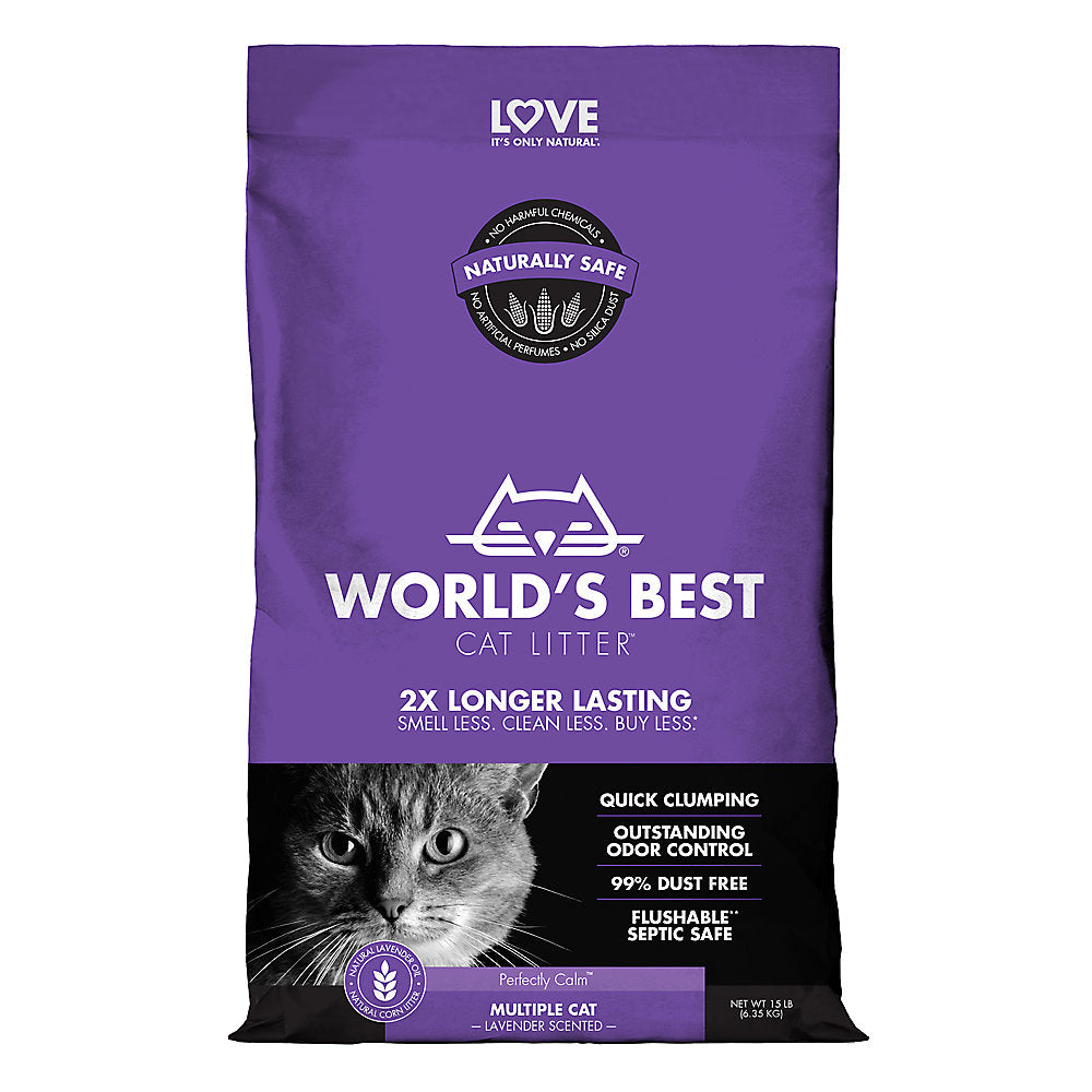 Best cat litter canada best sale