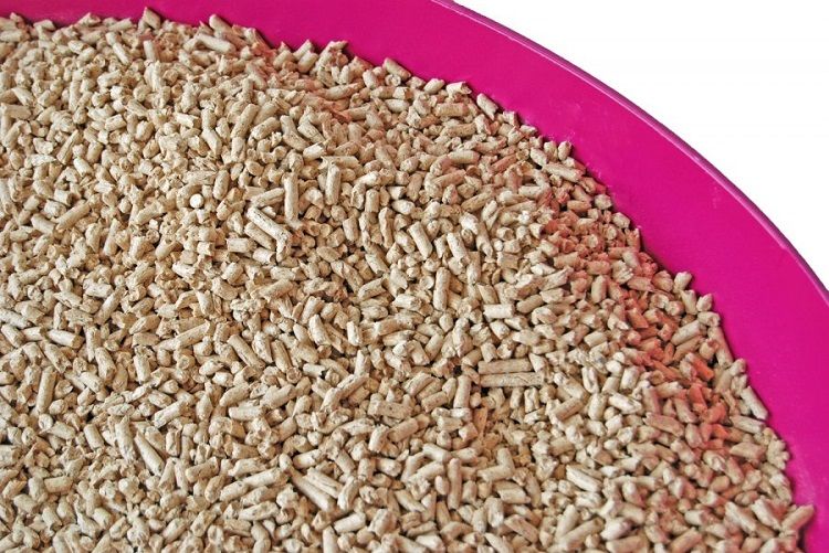 Okocat Natural Wood Less Mess Mini-Pellets Clumping Cat Litter